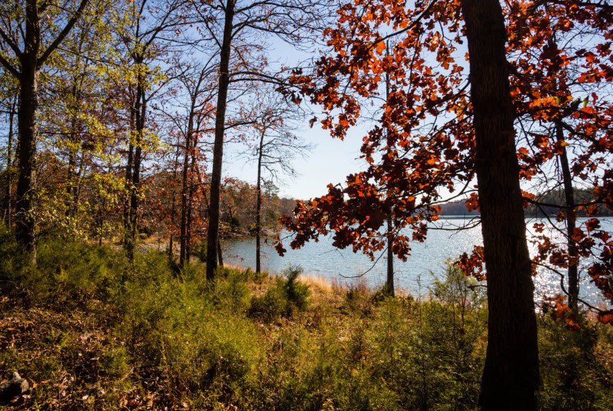 Richard B. Russell State Park, Georgia, USA